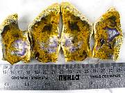 rough_opalfluorite-02_0001.jpg