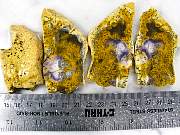 rough_opalfluorite-02_0002.jpg