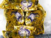 rough_opalfluorite-02_0003.jpg