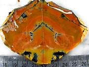 rough_opalfluorite-05_0003.jpg