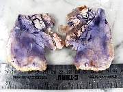 rough_opalfluorite-06_0002.jpg