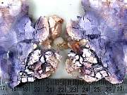 rough_opalfluorite-06_0003.jpg