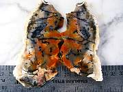 cab_opalfluorite-02_0001.JPG