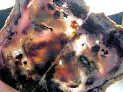 cab_opalfluorite-04_0004.JPG