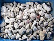 rough_coral-redhorn-01_0000.JPG