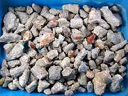 rough_coral-redhorn-01_0001.JPG