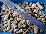 rough_coral-redhorn-01_0002.JPG