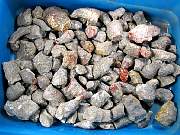 rough_coral-redhorn-01_0002.JPG