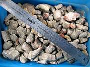 rough_coral-redhorn-01_0003.JPG
