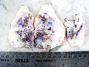 rough_opalfluorite-02_0001.JPG