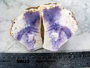 rough_opalfluorite-03_0001.JPG