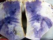 rough_opalfluorite-03_0002.JPG