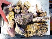 rough_opalfluorite-07_0002.JPG