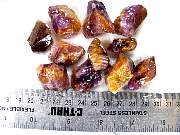 rough_cacoxenite-04_0002.JPG