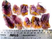 rough_cacoxenite-05_0001.JPG