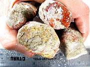 rough_coral-redhorn-01_0004.JPG