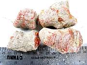 rough_coral-redhorn-01_0005.JPG