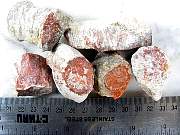 rough_coral-redhorn-03_0001.JPG