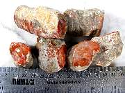 rough_coral-redhorn-03_0003.JPG