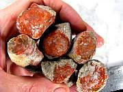 rough_coral-redhorn-03_0004.JPG