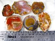 rough_agate-coyamito-01_0001.JPG