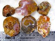 rough_agate-coyamito-01_0003.JPG