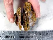 rough_agate-coyamito-01_0004.JPG