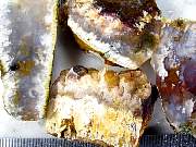 rough_agate-lindafeather-01_0002.JPG