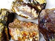 rough_agate-lindafeather-01_0004.JPG