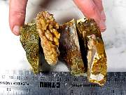 rough_agate-lindafeather-01_0005.JPG