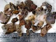rough_agate-marfa-01_0004.JPG