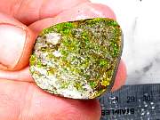 rough_ammolite-01_0003.JPG