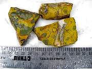 rough_jasper-poppy-01_0002.JPG