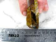 rough_jasper-poppy-01_0003.JPG