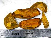rough_jasper-sahara-01_0002.JPG