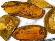 rough_jasper-sahara-01_0003.JPG