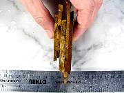 rough_jasper-sahara-01_0004.JPG