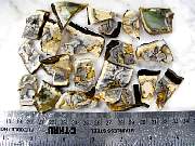 rough_jasper-tahoma-01_0001.JPG