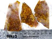 rough_pietersite-01_0001.JPG