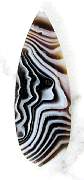 cab_agate-tuxedo-01_0002.JPG
