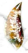 cab_plume-lindamarie-01_0001.JPG