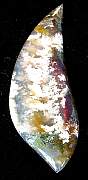 cab_plume-lindamarie-01_0002.JPG