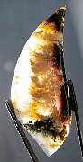 cab_plume-lindamarie-01_0004.JPG