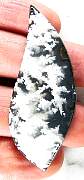 cab_plume-stinking-01_0002.JPG