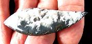 cab_plume-stinking-01_0003.JPG