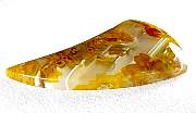 cab_agate-bullcanyon-01_0004.JPG