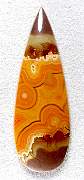 cab_agate-dryhead-01_0001.JPG
