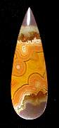 cab_agate-dryhead-01_0002.JPG