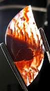 cab_agate-flame-01_0005.JPG