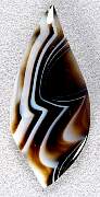 cab_agate-tuxedo-01_0001.JPG